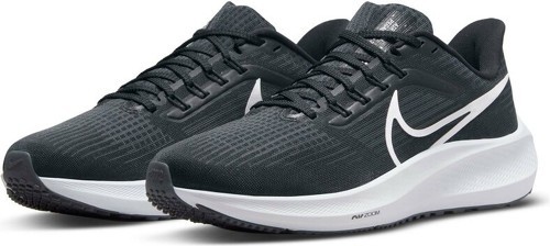 NIKE-Pegasus 39-2