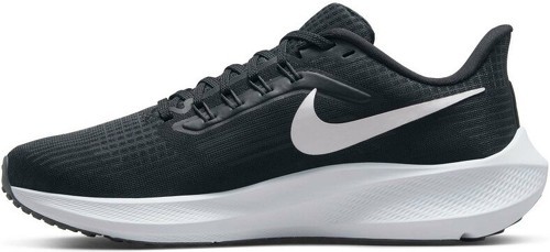NIKE-Pegasus 39-1