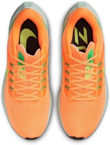 NIKE-Pegasus 39-3