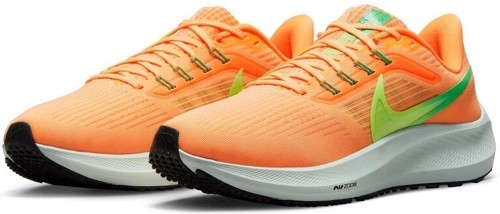 NIKE-Pegasus 39-4