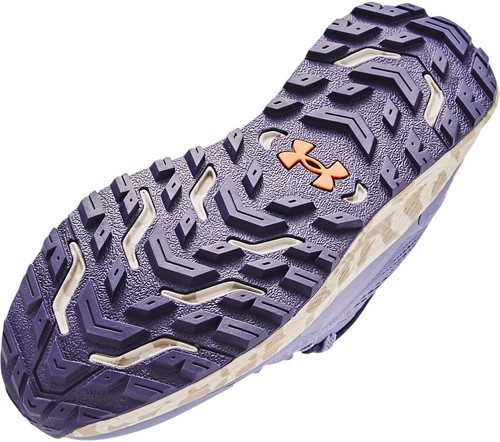 UNDER ARMOUR-Charged Bandit Trail 2-1