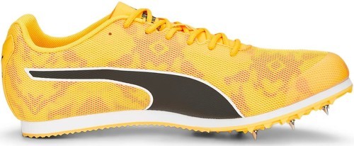 PUMA-EvoSpeed Star8-2