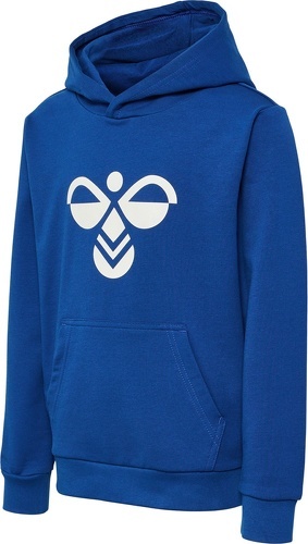 HUMMEL-hmlCUATRO HOODIE-0