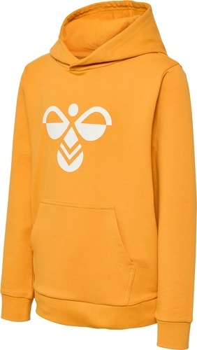 HUMMEL-hmlCUATRO HOODIE-0