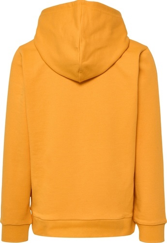 HUMMEL-hmlCUATRO HOODIE-1