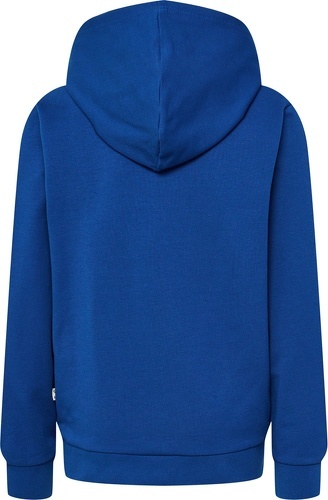 HUMMEL-hmlCUATRO HOODIE-1