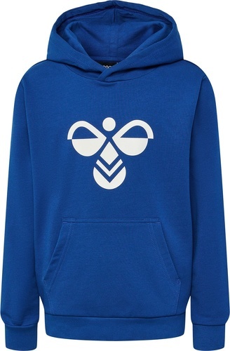 HUMMEL-hmlCUATRO HOODIE-2