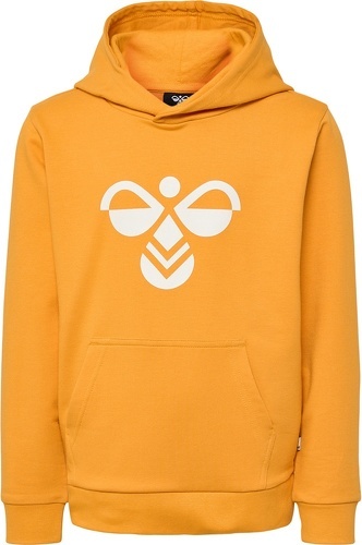 HUMMEL-hmlCUATRO HOODIE-2