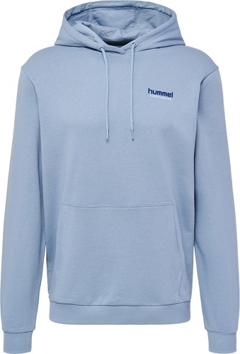 HUMMEL-hmlLGC GABE HOODIE-2