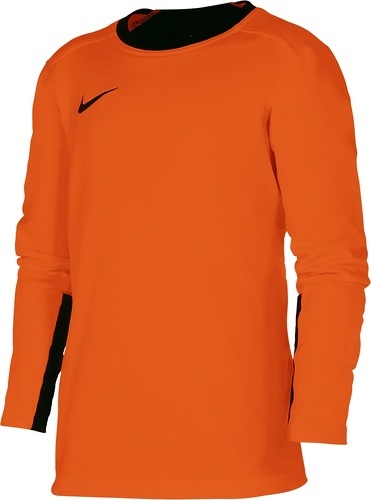 NIKE-YOUTH TEAM GOALKEEPER JERSEY LONG SLEEVE-0