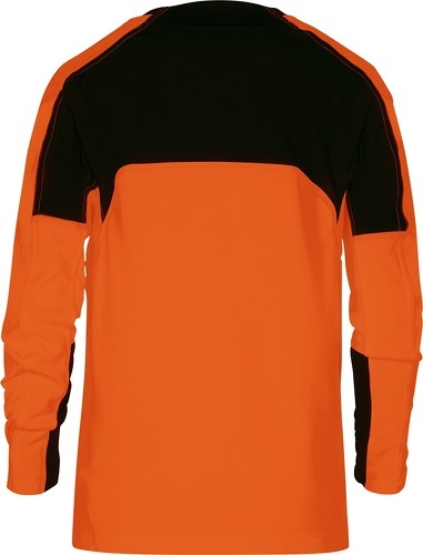 NIKE-YOUTH TEAM GOALKEEPER JERSEY LONG SLEEVE-1