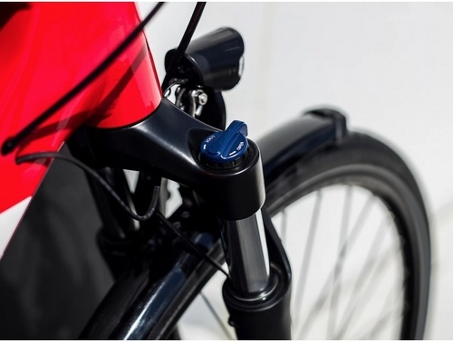Trek-DUAL SPORT 2 EQ 2022-3