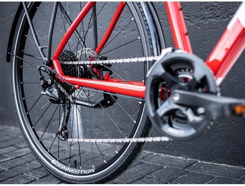 Trek-DUAL SPORT 2 EQ 2022-4