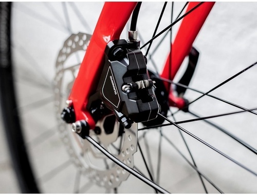 Trek-FX 3 Equipped 2023-4