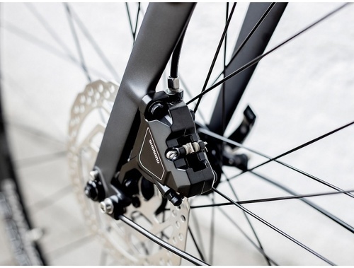 Trek-FX3 EQUIPPED STAGGER 2023-3
