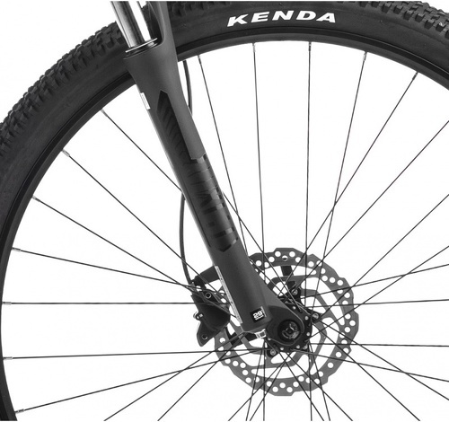 ORBEA-ONNA 40 2022-1
