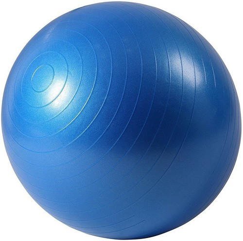 ISE-ISE Ballon de gymnastique Anti-éclatement - Ballon d'exercice 45cm de Diamètre avec Pompe Bleu SY-2001BL55-FR-image-1