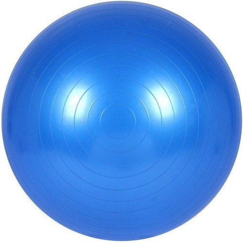 ISE-ISE Ballon de gymnastique Anti-éclatement - Ballon d'exercice 45cm de Diamètre avec Pompe Bleu SY-2001BL55-FR-1