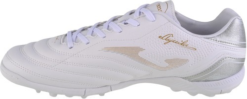 JOMA-Aguila-1
