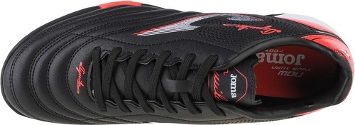 JOMA-Aguila-2