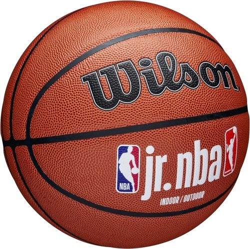 WILSON-Wilson Jr NBA Fam Logo In/Out Ball-1