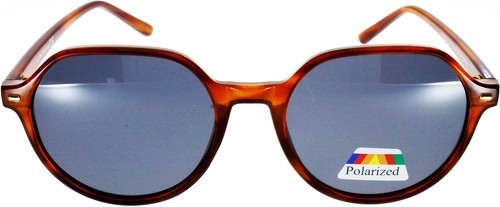 Ad Sol-Lunettes de soleil AD SOL 201447 Marron verre gris polarisé-1