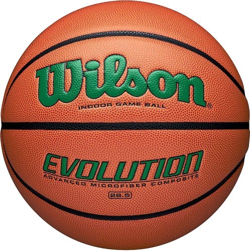 WILSON-Wilson Evolution 295 Indoor Game Ball-image-1