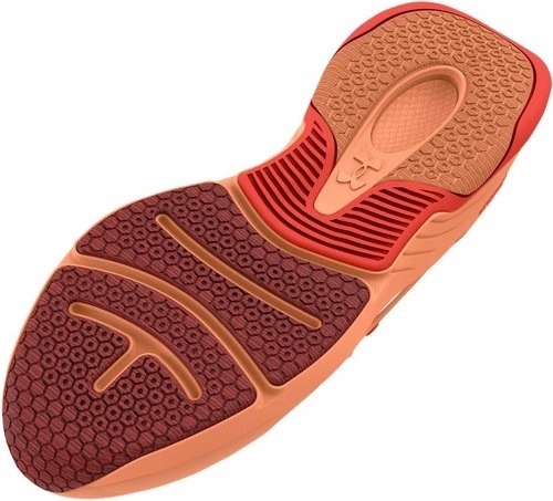 UNDER ARMOUR-UA W HOVR Omnia-2