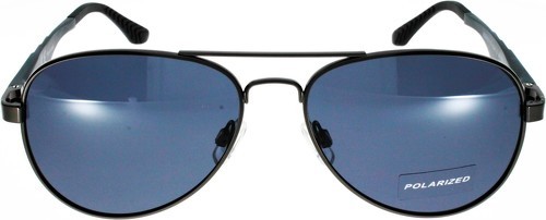 Ad Sol-Lunettes de soleil AD SOL 208051 métal noir verre gris polarisé-1