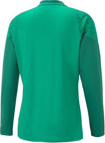 PUMA-Haut d'entraînement Puma teamCUP Training 1/4 Zip vert-2