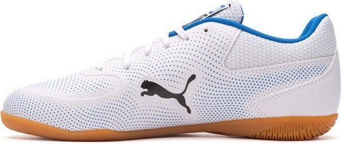 PUMA-Truco 3-1