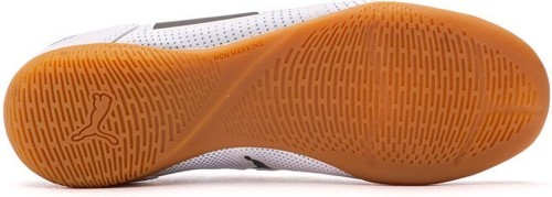 PUMA-Truco 3-2