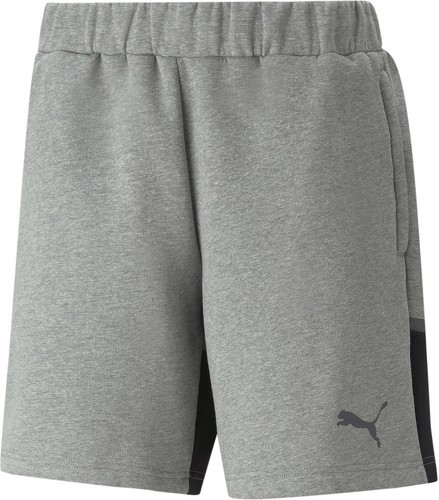 PUMA-Short décontracté Puma teamCUP-0