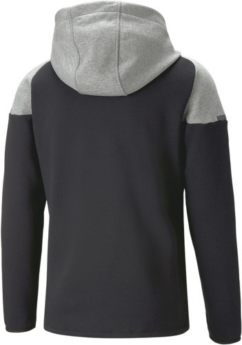 PUMA-Sweatshirt décontracté Puma teamCUP-1