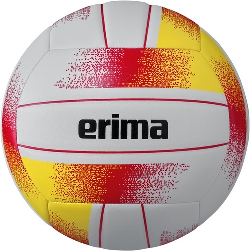 ERIMA-Allround Volleyball-image-1