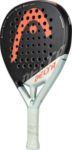 HEAD-Delta Pro-2