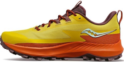 SAUCONY-Peregrine 13-2