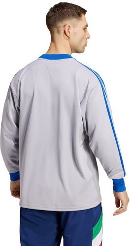 adidas Performance-Maillot Gardien de but Italie Icon-1