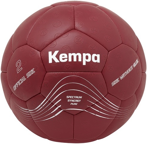 KEMPA-Ballon d’entraînement Kempa Spectrum Synergy Pure-image-1
