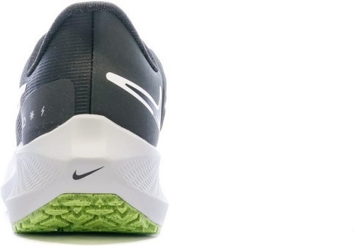NIKE-Air Zoom Pegasus 39 Shield-2