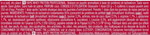 Scitec Nutrition-100% Whey Professional (500g) [NOIX DE COCO]-1