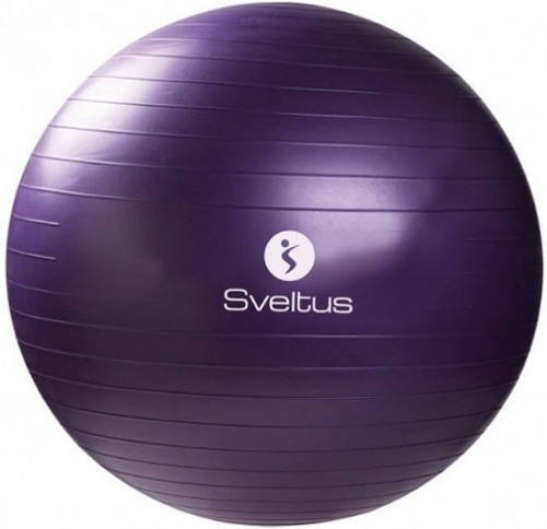 SVELTUS-Gymball parme (75cm)| Gymballs|Sveltus-image-1