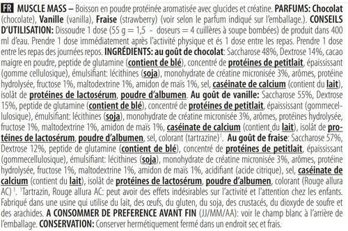 Biotech USA-Muscle Mass (4Kg) [VANILLE]-2