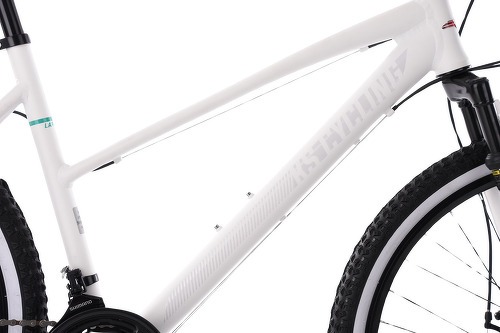 KS Cycling-VTT Femme semi-rigide 26'' Larrikin aluminium (cadre 48cm)-3