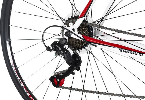 KS Cycling-Vélo de course 28'' Piccadilly (cadre 59cm)-3