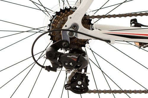 KS Cycling-Vélo de course alu 28'' Euphoria (cadre 53cm)-2