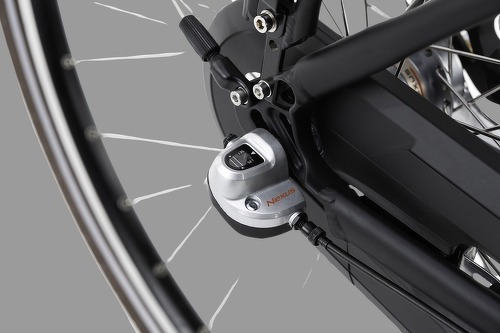 Adore-E-Bike Cantaloupe (cadre 49cm - 28 pouces) - Vélo de ville électrique-3