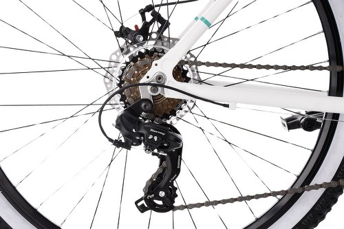KS Cycling-VTT Femme semi-rigide 26'' Larrikin aluminium (cadre 48cm)-2