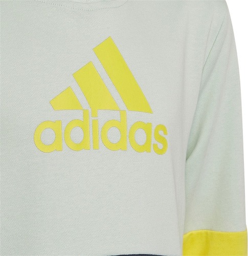 adidas Sportswear-Sweat-shirt à capuche Colourblock-3