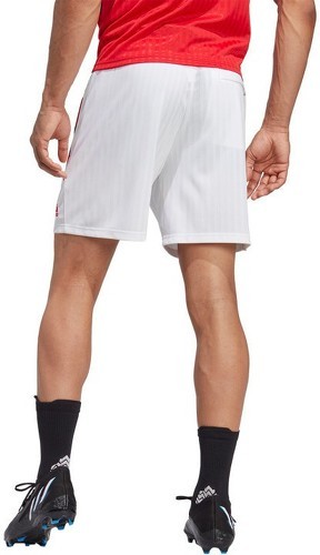 adidas Performance-Short Arsenal Icon-1